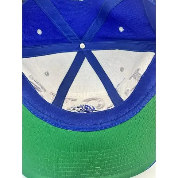 Vintage Detroit Lions Big Logo Snapback Hat NFL Tri Power Cap Embroidered